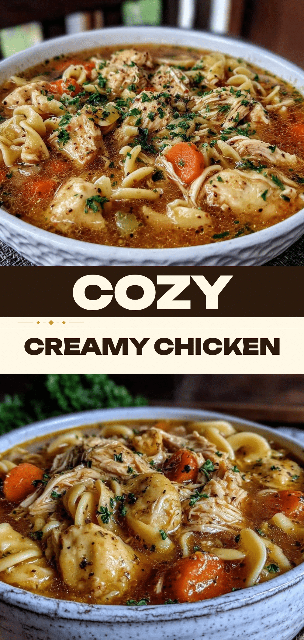 Chicken Noodle Soup: Easy Budget Family Meal 5 chicken noodle soup recipe